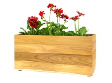 Picture for category Teak Window Planters