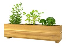 Picture for category Teak Herb Planters