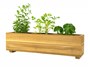 Picture of Teak Herb Planter Box - Attribute Variants